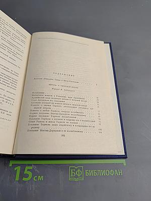 Витязь в тигровой шкуре