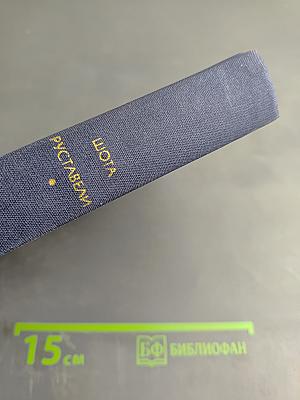 Витязь в тигровой шкуре