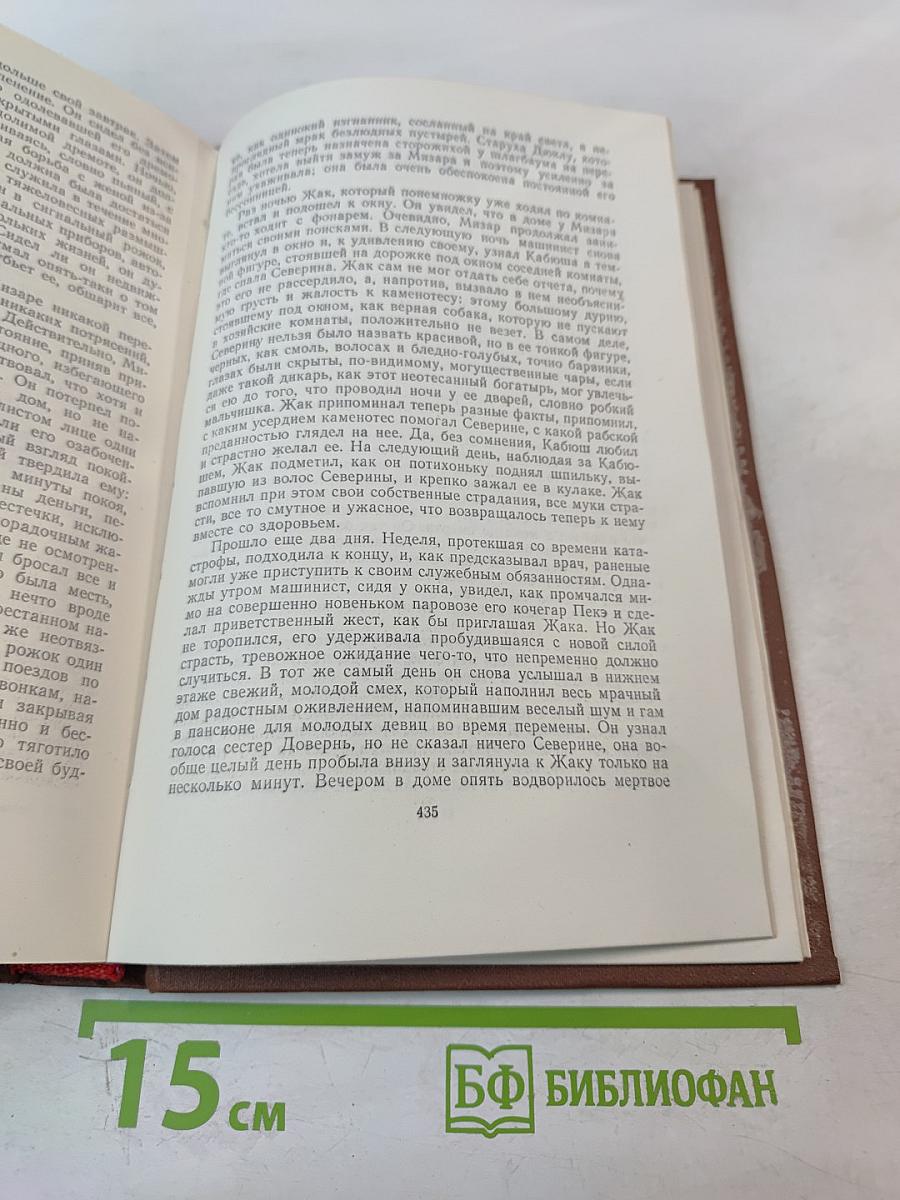 Мечта. Человек-зверь