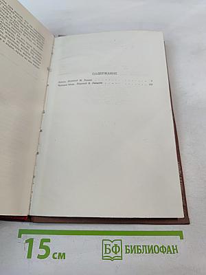 Мечта. Человек-зверь