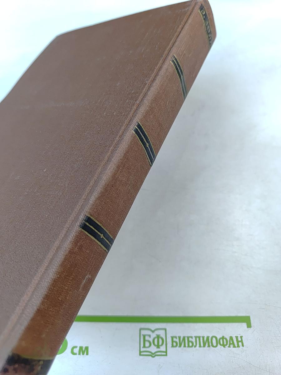 Мечта. Человек-зверь