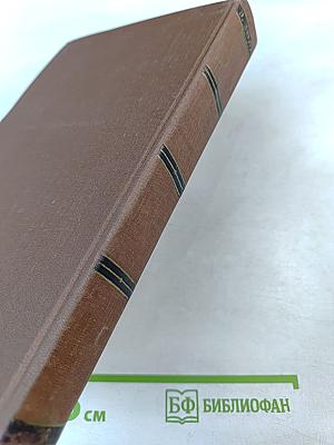 Мечта. Человек-зверь