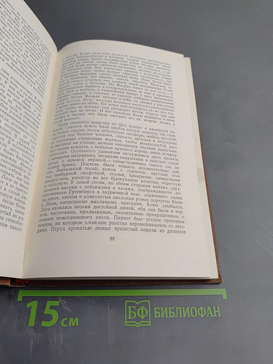 Чрево Парижа (Том 2)