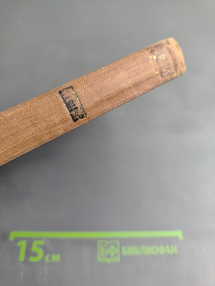 Чрево Парижа (Том 2)