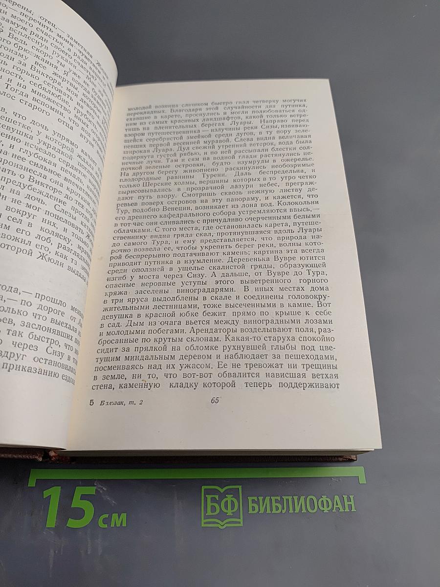 Собрание сочинений в пятнадцати томах. Том 2. Человеческая комедия. Сцены частной жизни