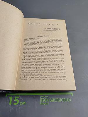 Одеты камнем. Рассказы и очерки