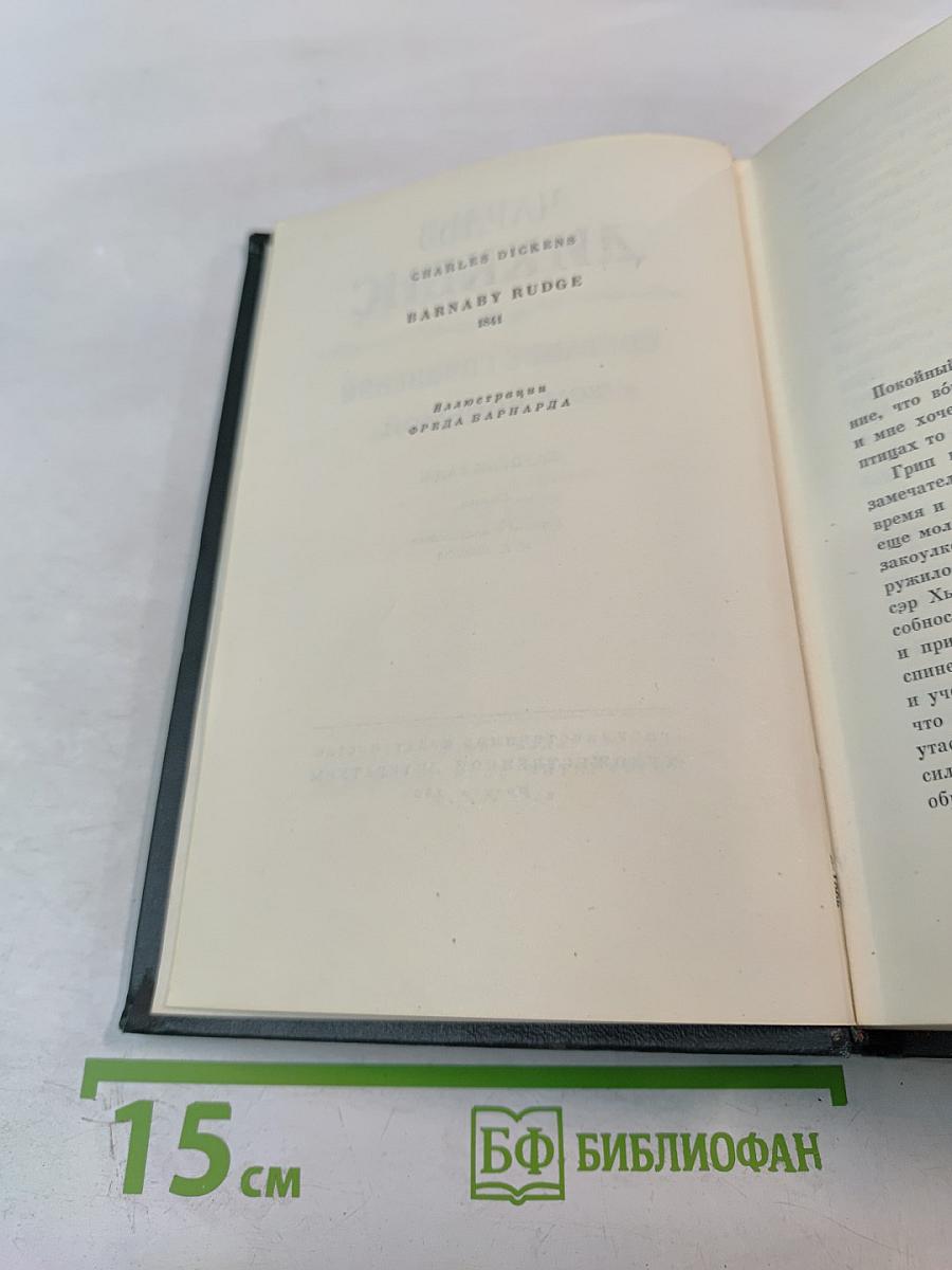 Барнеби Радж