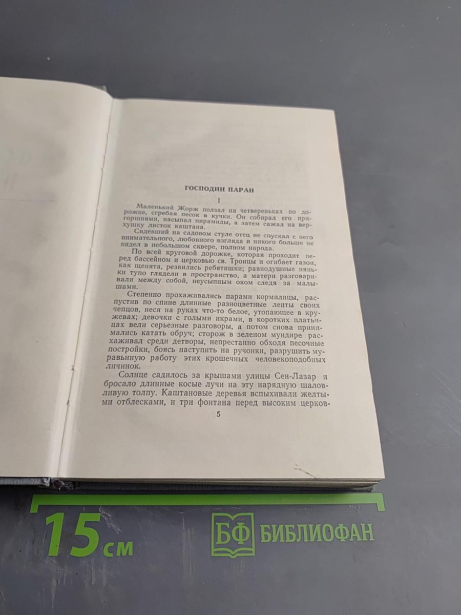 Господин Паран