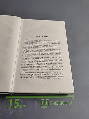 Господин Паран