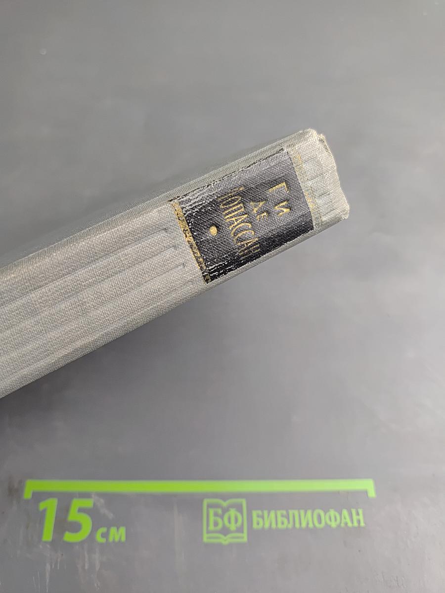 Господин Паран