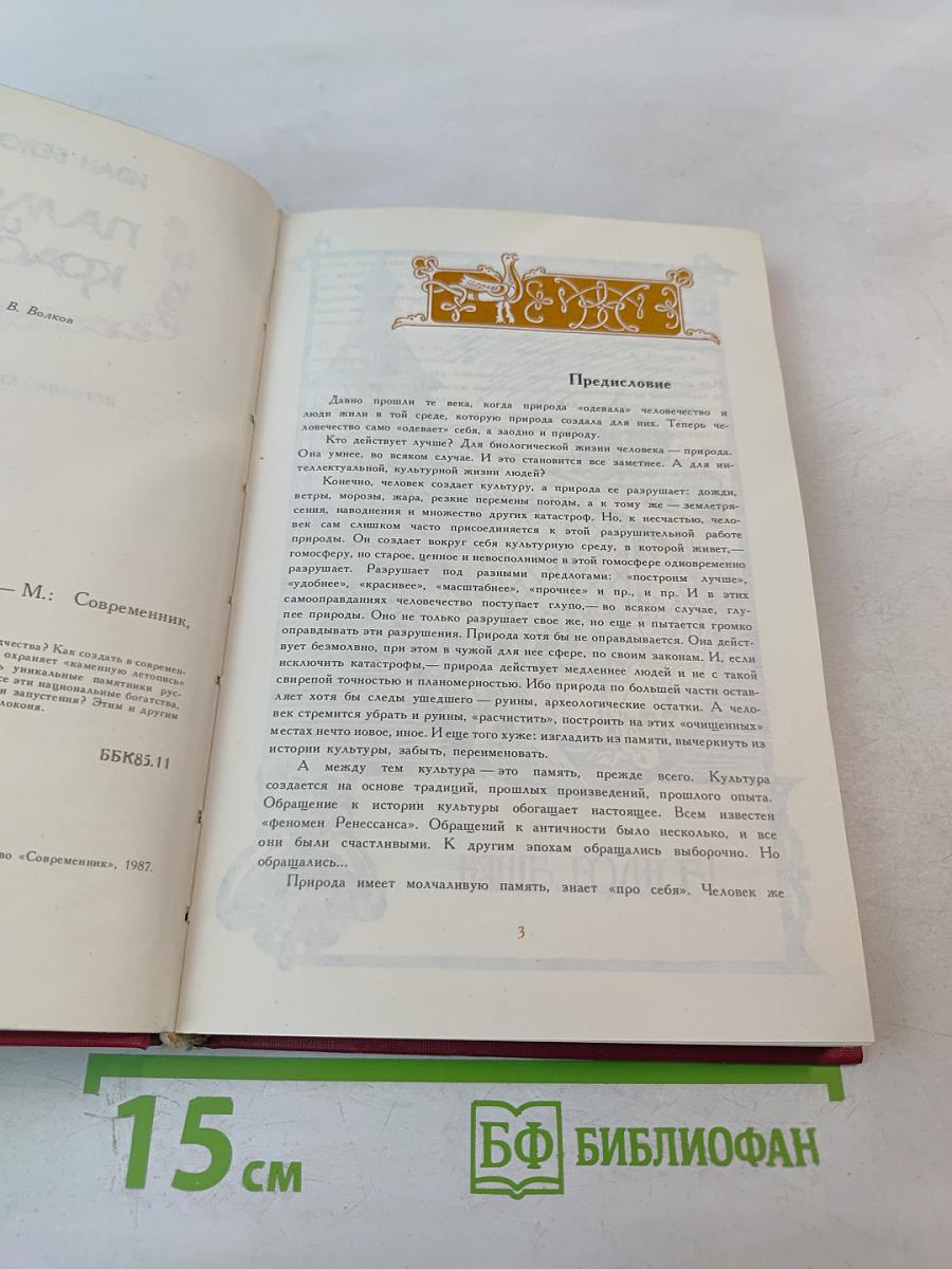 Память и красота