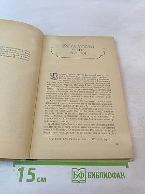 Белинский в школе