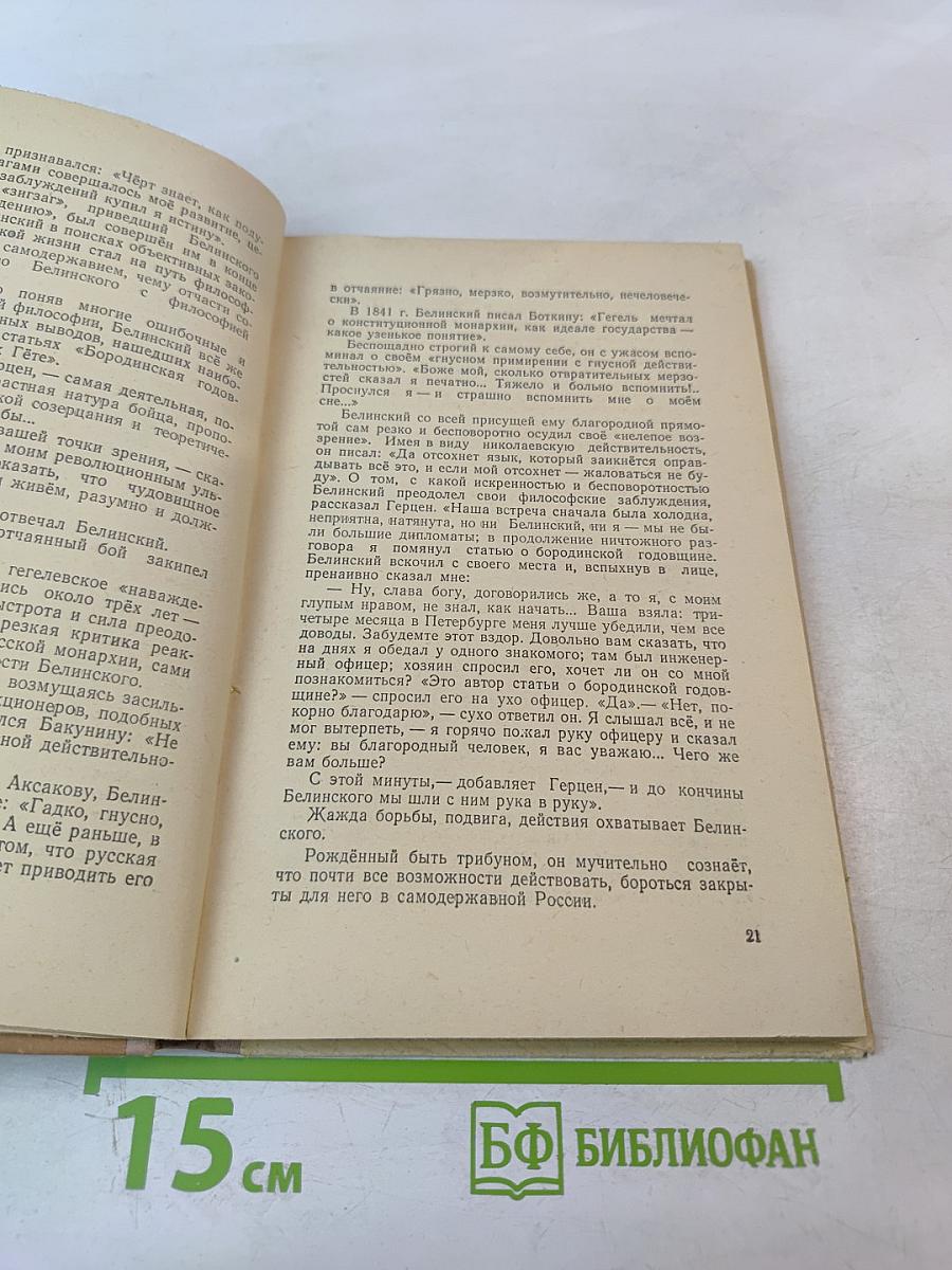 Белинский в школе