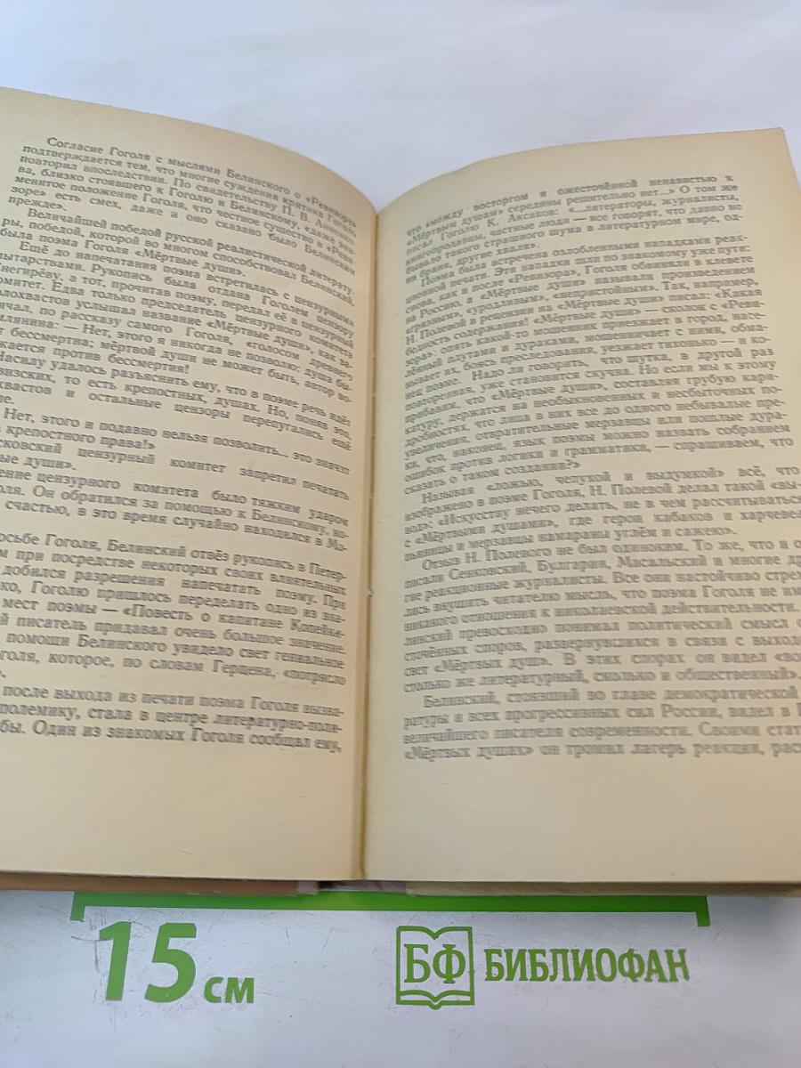 Белинский в школе