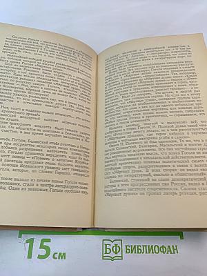 Белинский в школе