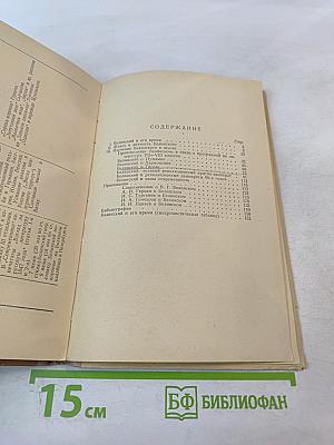 Белинский в школе