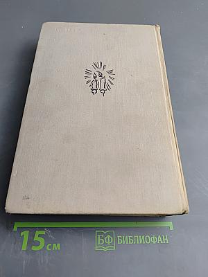 Отверженные. Том II