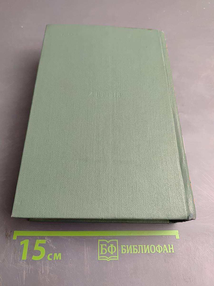 Браво. Морская волшебница