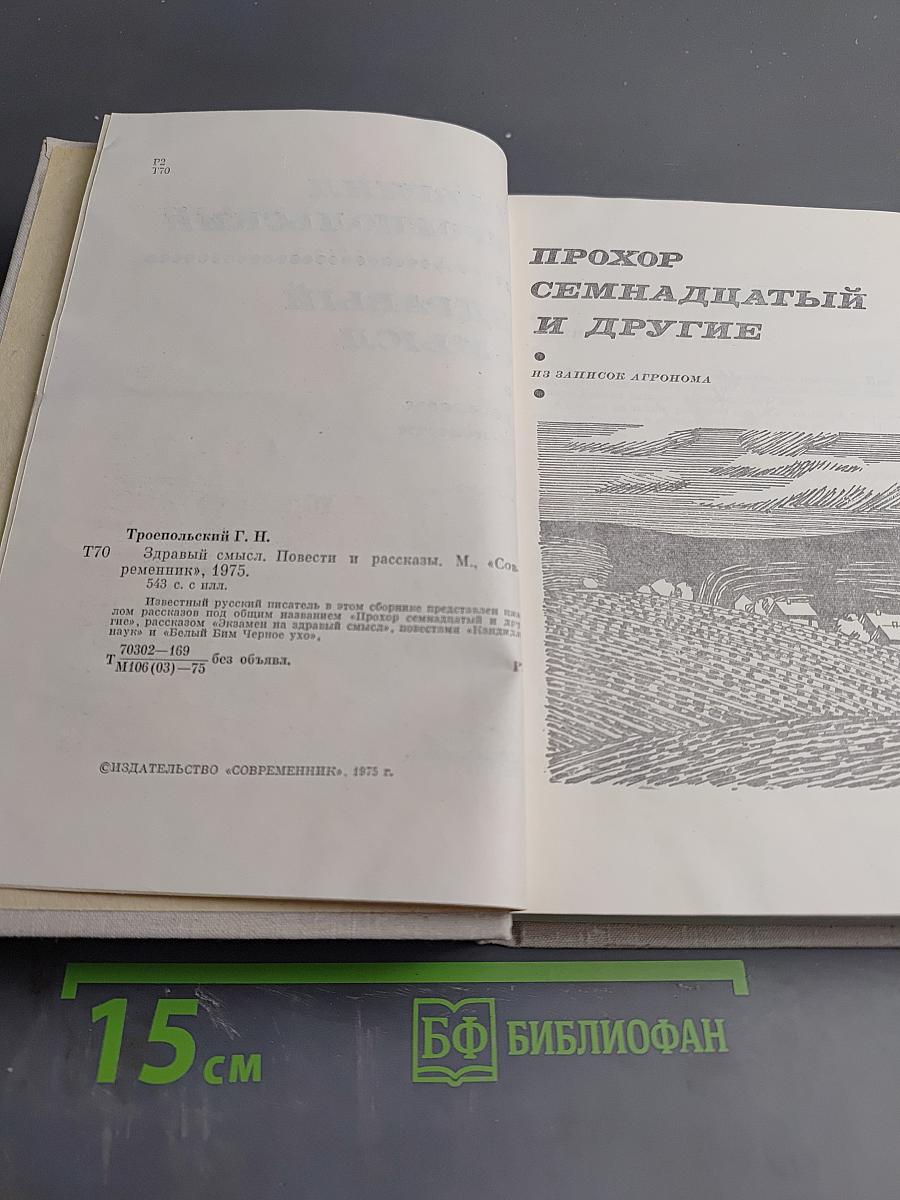 Здравый смысл. Повести и рассказы