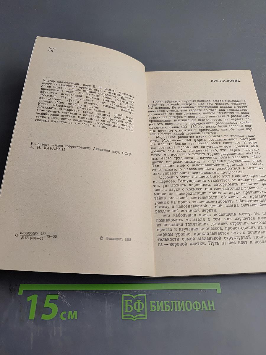 Парадоксы мозга