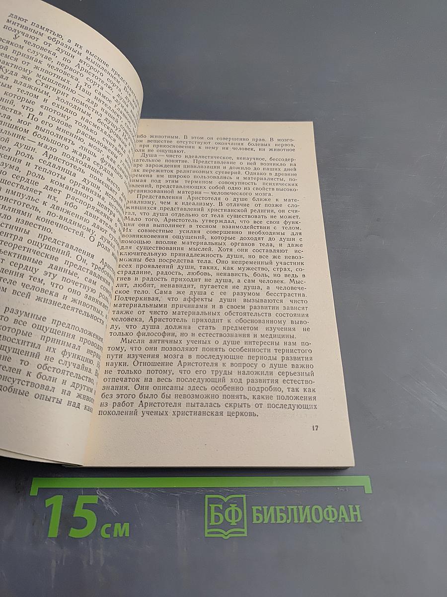 Парадоксы мозга