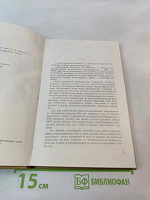 Всеволод Гаршин: Творчество и судьба