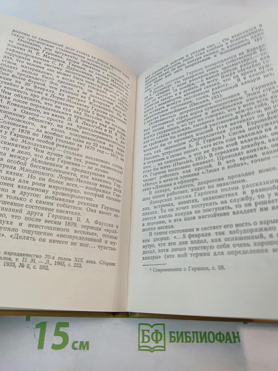 Всеволод Гаршин: Творчество и судьба