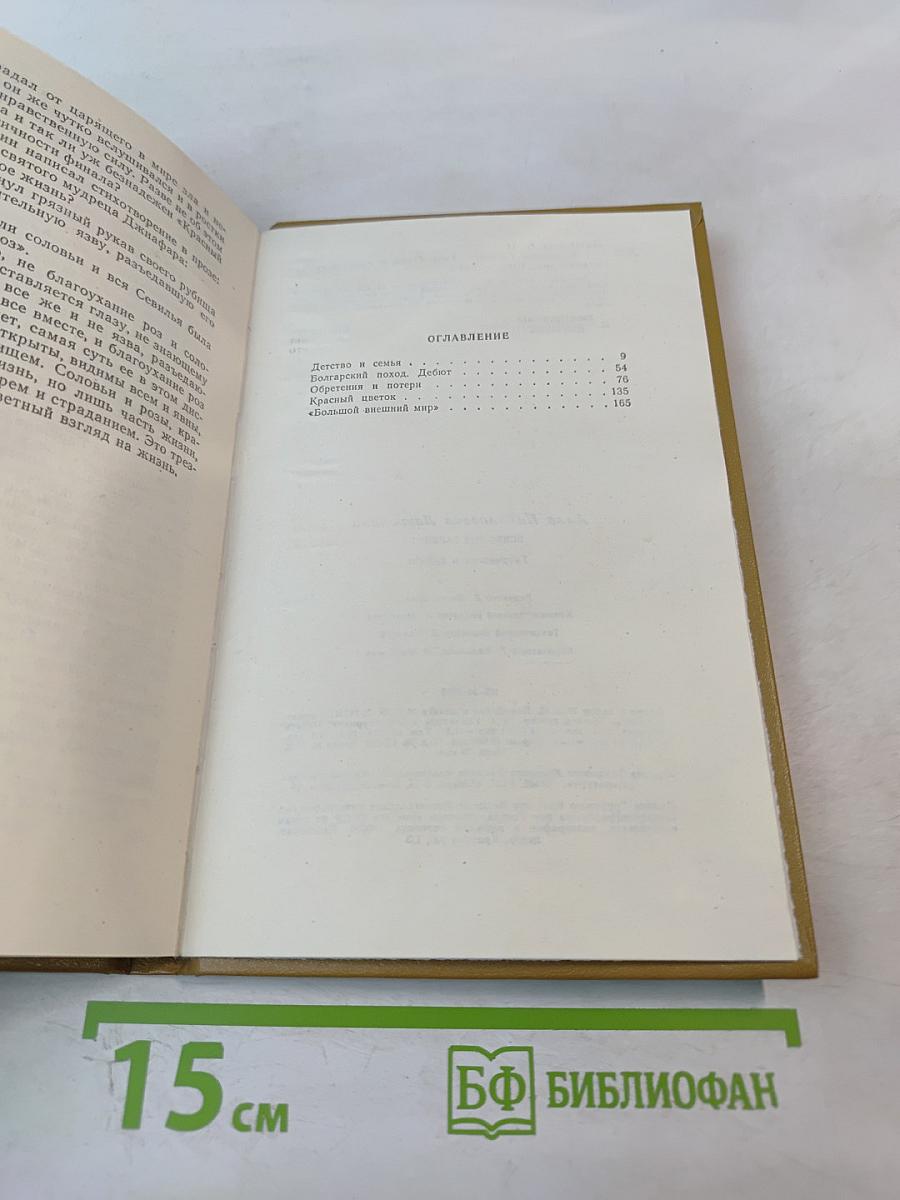 Всеволод Гаршин: Творчество и судьба