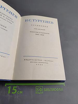 Повести и рассказы 1867-1870 (Том 10)