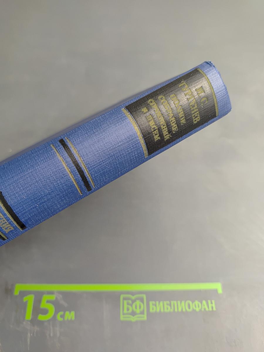 Повести и рассказы 1867-1870 (Том 10)