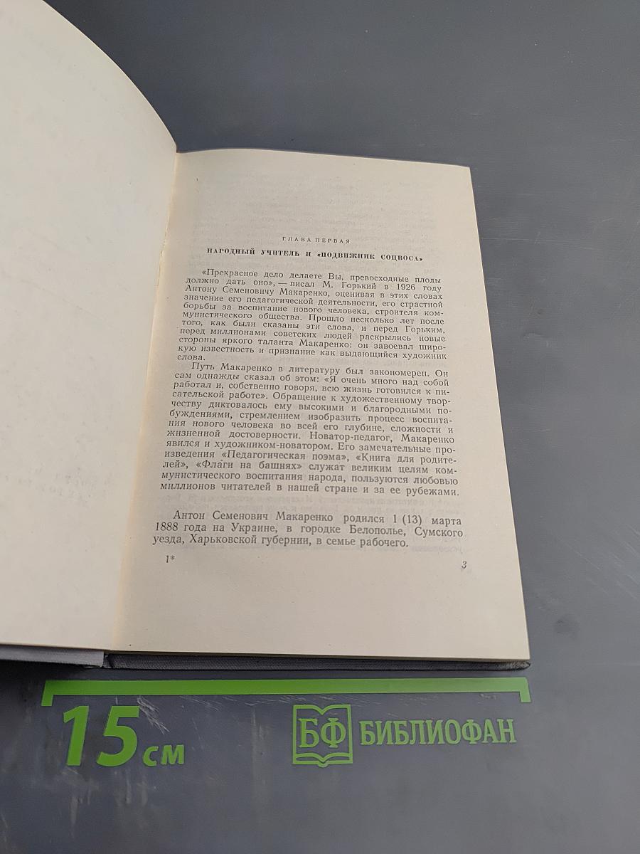 А.С. Макаренко. Критико-биографический очерк