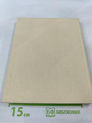 Фабрика на взморье