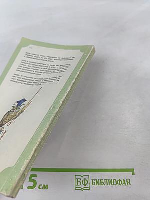 Уроки экономии в быту