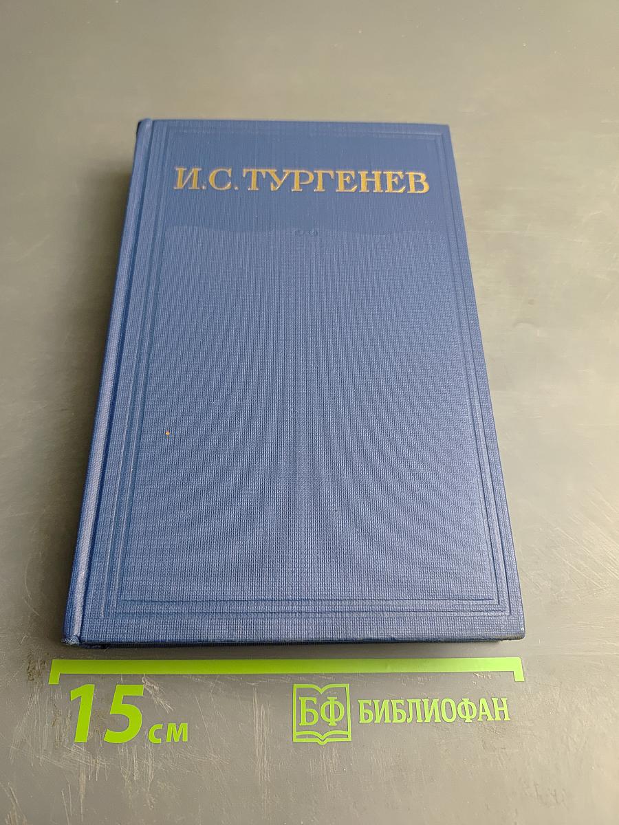 Сочинения. Том одиннадцатый. Повести и рассказы 1871-1877