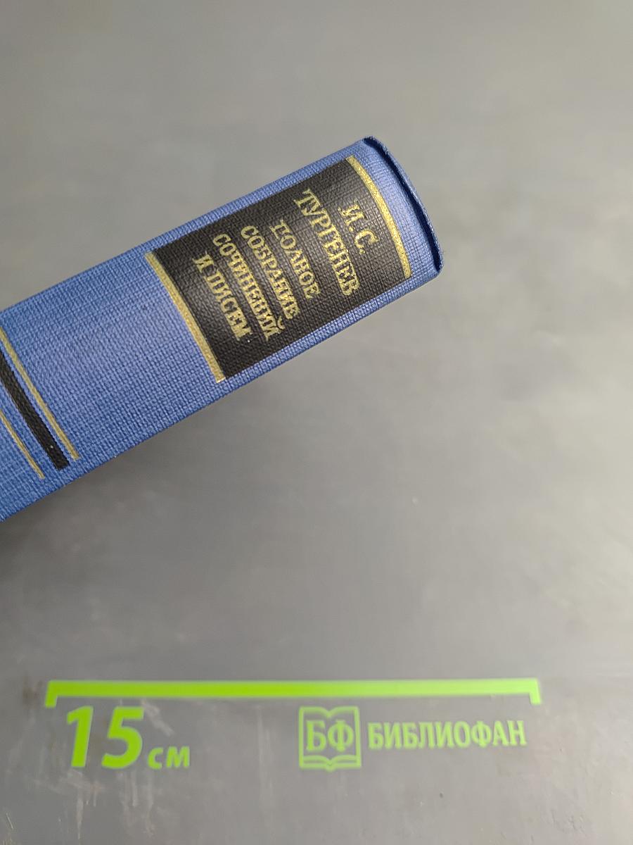 Сочинения. Том одиннадцатый. Повести и рассказы 1871-1877