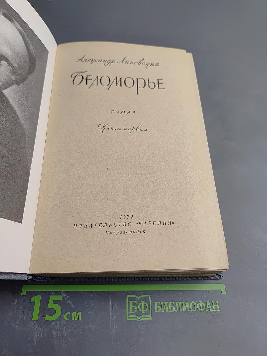 Беломорье. Книга первая