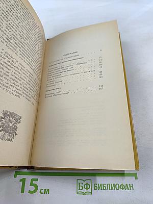 Родина в сердце