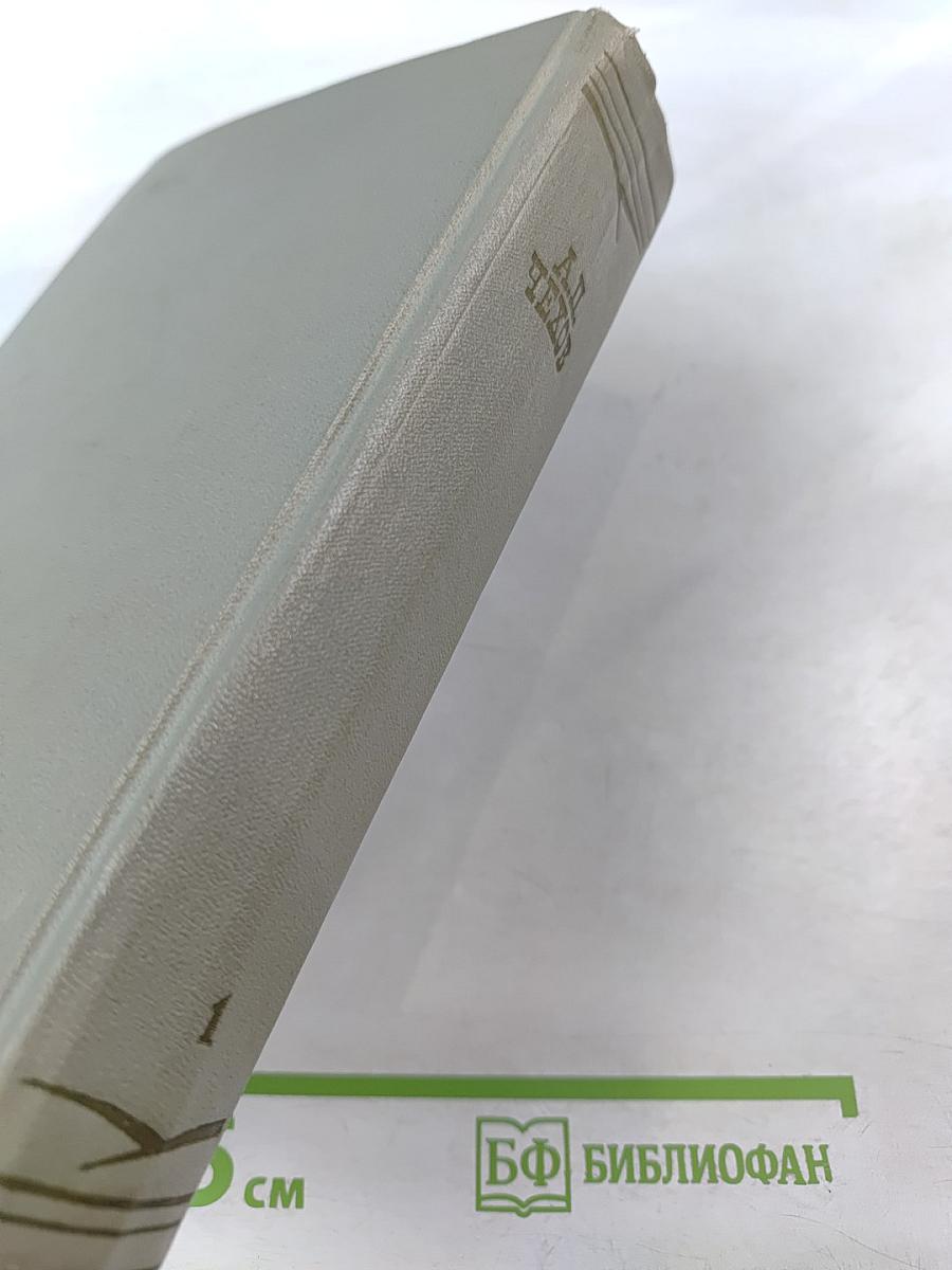 Собрание сочинений. Том 1. Рассказы 1880-1883