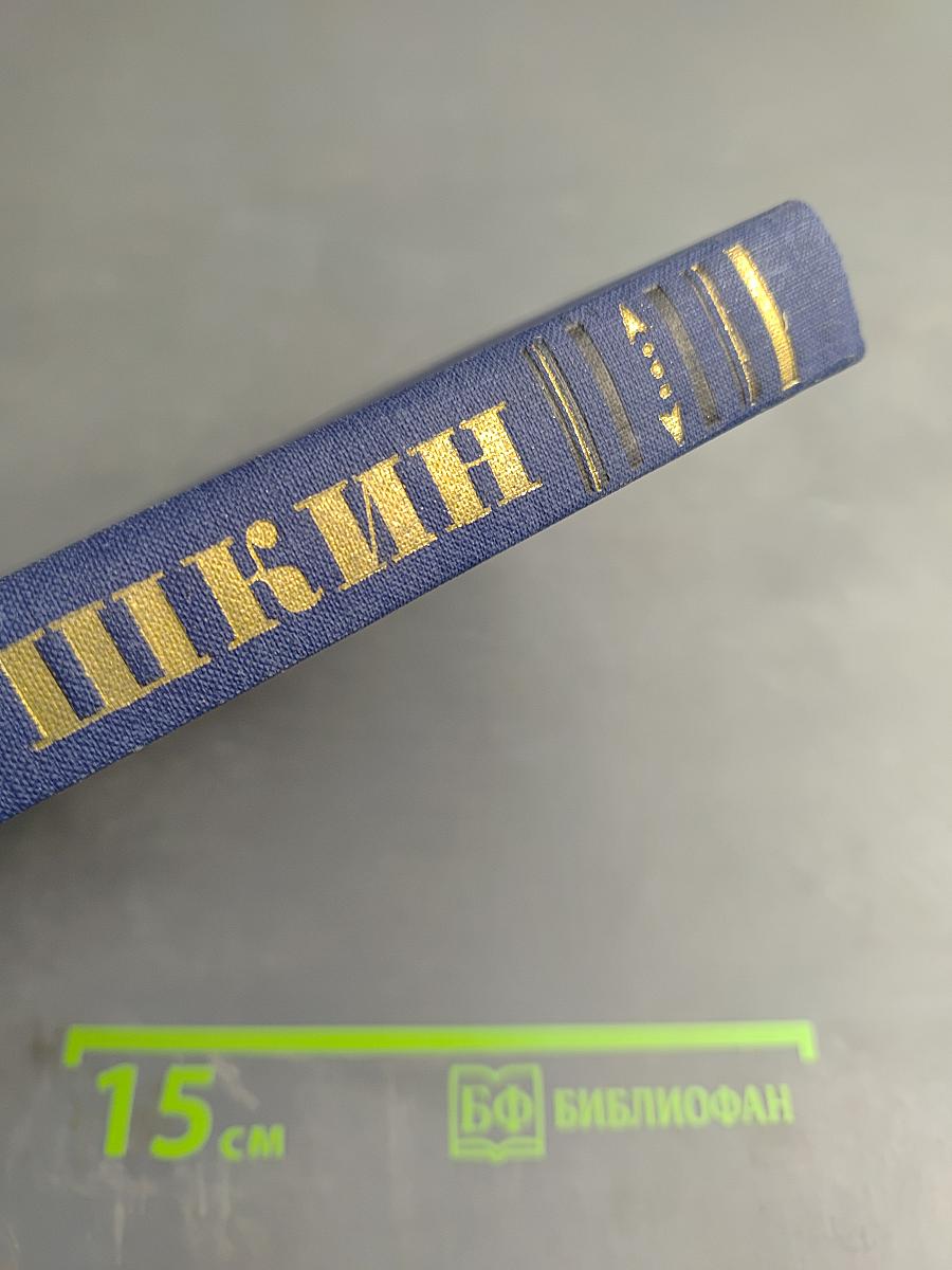 Полное собрание сочинений. Том 7: История Петра (Подготовительные тексты)