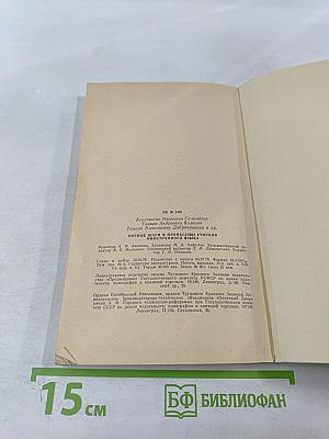 Первые шаги в профессию учителя иностранного языка