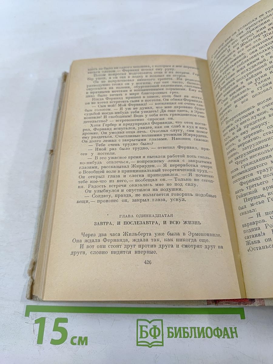 Мудрость чудака, или Смерть и преображение Жан-Жака Руссо