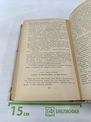 Мудрость чудака, или Смерть и преображение Жан-Жака Руссо