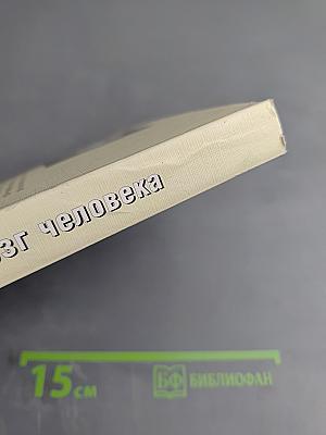 Мозг человека в механизмах информационно-управляющих взаимодействий организма и среды обитания