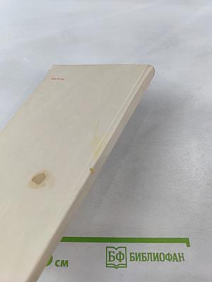 Микеланджело