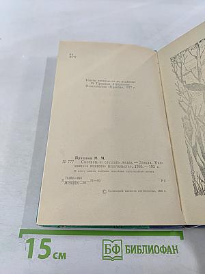 Смотреть и слушать лилии