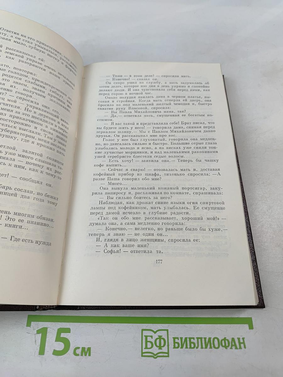 Мать. Рассказы. Очерки. Том восьмой