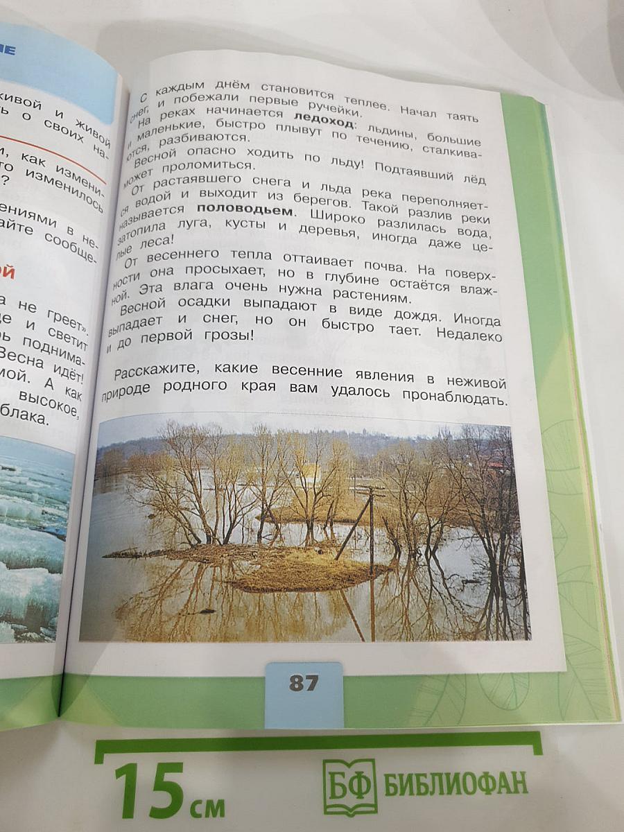 Окружающий мир 2 класс Часть 2