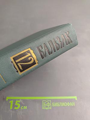 Собрание сочинений в 24-х томах. Том 12: Этюды о нравах. Сцены парижской жизни. История величия и падения Цезаря Бирото
