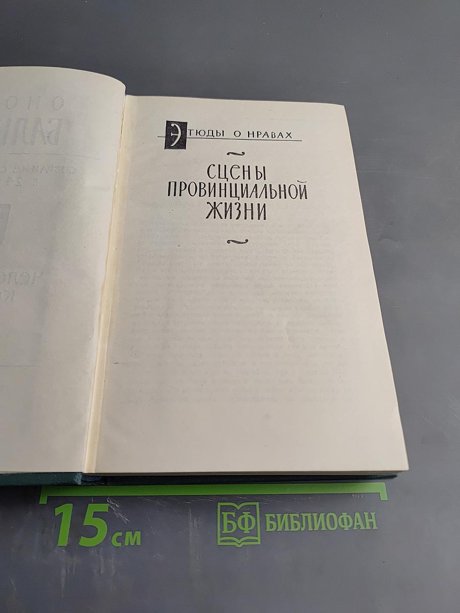 Собрание сочинений в 24 томах. Том 9: Человеческая комедия. Этюды о нравах. Сцены провинциальной жизни. Утраченные иллюзии