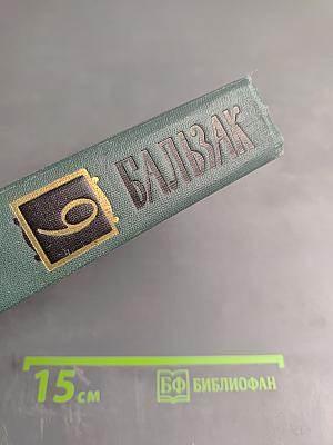 Собрание сочинений в 24 томах. Том 9: Человеческая комедия. Этюды о нравах. Сцены провинциальной жизни. Утраченные иллюзии